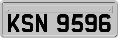 KSN9596
