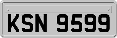 KSN9599