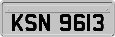 KSN9613