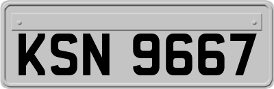 KSN9667