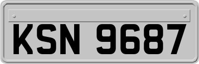 KSN9687