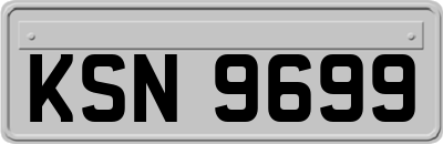 KSN9699