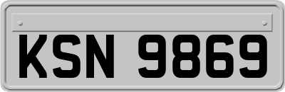 KSN9869