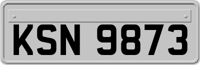 KSN9873