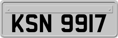 KSN9917