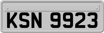 KSN9923