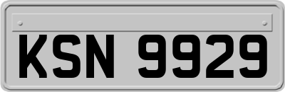 KSN9929