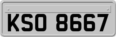 KSO8667