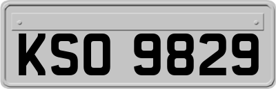 KSO9829