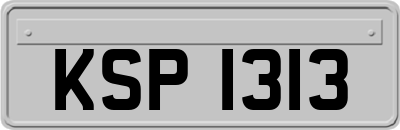 KSP1313