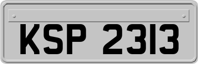 KSP2313