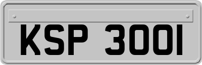 KSP3001