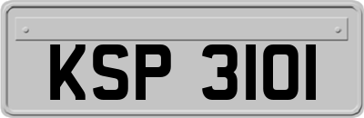 KSP3101