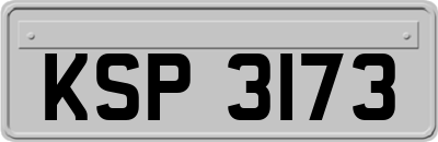 KSP3173
