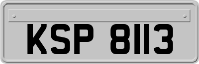 KSP8113