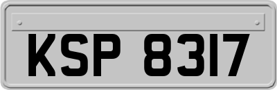 KSP8317