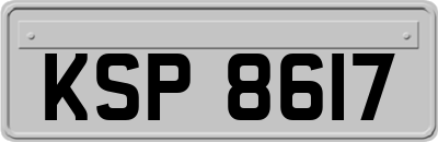KSP8617
