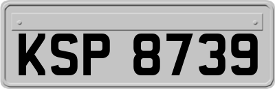 KSP8739