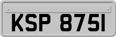 KSP8751
