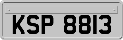 KSP8813