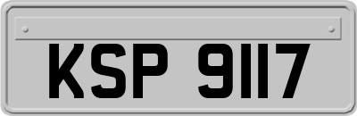 KSP9117