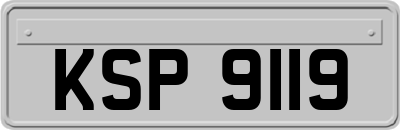 KSP9119