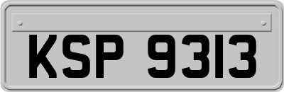 KSP9313