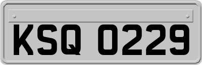 KSQ0229