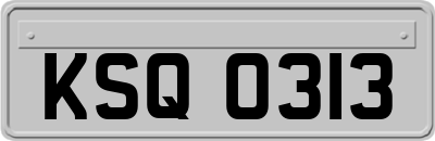 KSQ0313