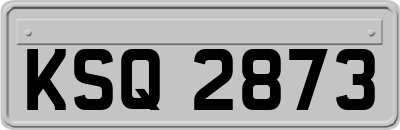 KSQ2873