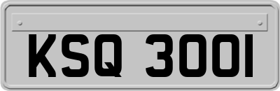 KSQ3001