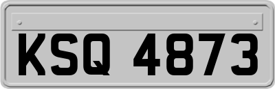 KSQ4873