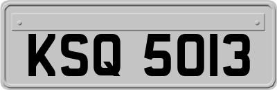 KSQ5013