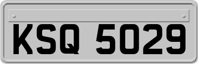 KSQ5029