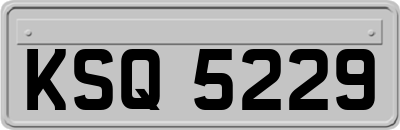 KSQ5229