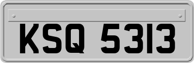 KSQ5313