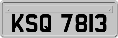KSQ7813