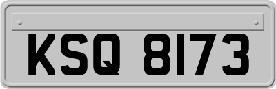 KSQ8173