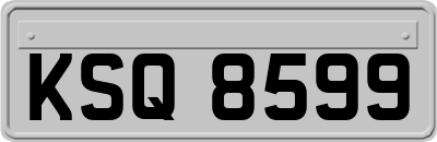 KSQ8599