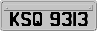 KSQ9313