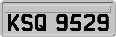KSQ9529