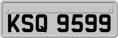 KSQ9599