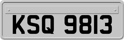 KSQ9813
