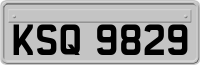 KSQ9829