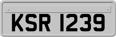 KSR1239