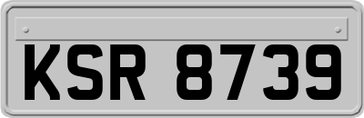 KSR8739
