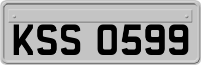 KSS0599