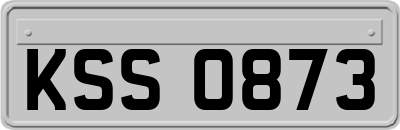 KSS0873