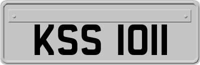KSS1011