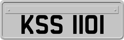 KSS1101